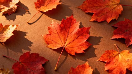 Vibrant autumn leaves in warm, natural light, displaying a beautiful array of fiery reds and oranges against a light brown background.