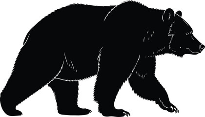Fototapeta premium Silhouette of a walking bear, wild animal in profile view, vector illustration for nature and wildlife design