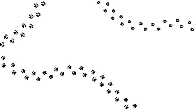 Paw vector foot trail print of cat. Dog, puppy silhouette animal diagonal tracks for t-shirts, backgrounds, patterns, websites, showcases design, greeting cards, child prints and etc. - Powered by Adobe