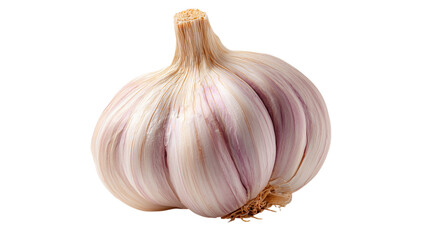 Obraz premium A large white garlic bulb with purple and white stripes