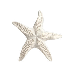 Fototapeta premium starfish with transparent background PNG and JPEG image