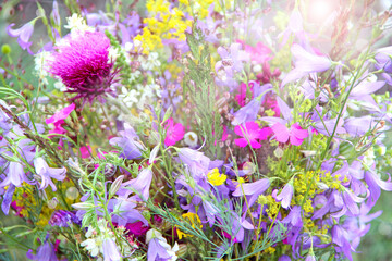 Obraz premium Summer flowers. Bouquet with different summer flowers. Summer picture
