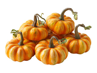 Mini Pumpkins Group Autumn Harvest on Transparent Background