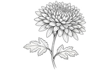 Vector art of a cozy scene depicts two friends of different ethnicities sharing a meal at a table, with a dachshund dog lying contentedly underneath