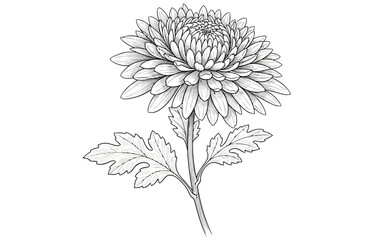 Vector art of elegant white mug with a heartshaped handle, , featuring a delicate sketch style, perfect for enjoying a warm beverage with love