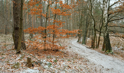 Winterliche Stimmung am 