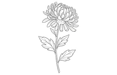 Vector art of a lit matchstick, showcasing a vibrant orange flame atop the match, symbolizing ignition, fire, and the fleeting nature of combustion in a simple design