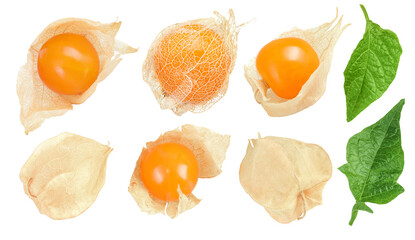 Cape gooseberry or physalis isolated on white background wit full depth of field. Top view. Flat lay