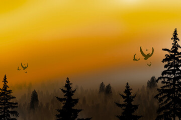 Forest sunset Background perfect for quotes background to make your page authentic