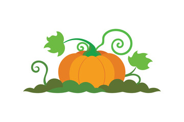 A colorful pumpkin plant vector art illustration