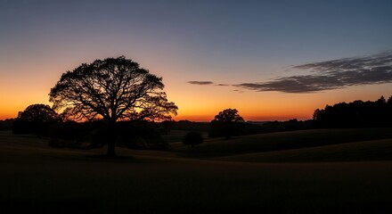 Fototapeta premium Beautiful Silhouette of Oak Tree at Sunrise
