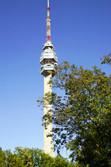 Fototapeta premium Avala Tower, blue sky and green foliage on Mount Avala, Belgrade. Nature meets modern architecture. Popular travel destination and symbol of Serbian capital identity. Landmark of Yugoslav engineering