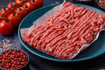 Raw ground beef or pork, prepared meat for burgers or other food preparation. Raw ground beef