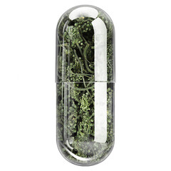 Ginseng Blossom Herbal Capsule Transparent Glass Isolated on White Background