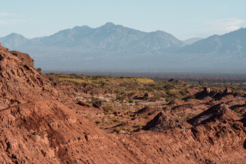 Red desert terrain with distant mountain range under soft daylight