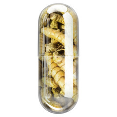 Transparent Glass Capsule with Golden Turmeric Curcumin Powder Isolated on White Background