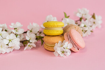 Yellow and pink macaroons on a pink background with branches of snow-white apple blossom