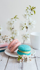 2 pink and blue macaroons served on a wooden table, in spring d?cor. Gender Reveal Party table