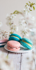 3 pink and blue macaroons served on a wooden table, in spring d?cor. Gender Reveal Party table