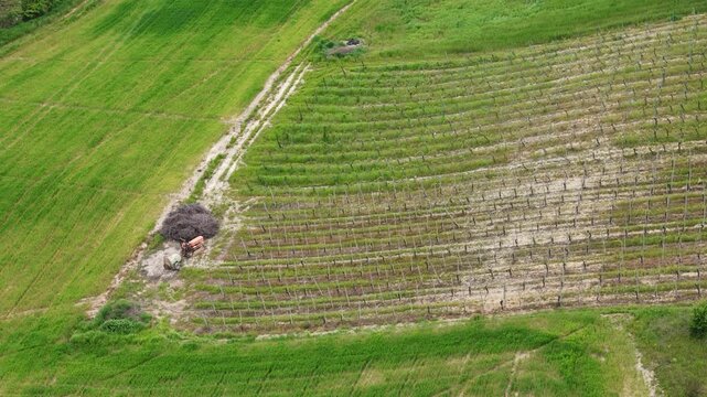 Aerial perspective of a farming tractor diligently spraying pesticides uphill across cultivated vineyard rows on a sun-drenched hillside in the picturesque Colli Piacentini slow motion shot