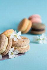 French macaroons desserts with white flowers on a blue background with delicate lighting