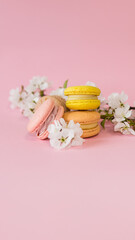 Yellow and pink macaroons on a pink background with branches of snow-white apple blossom