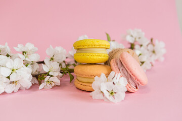 Yellow and pink macaroons on a pink background with branches of snow-white apple blossom