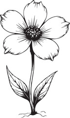 Delicate Floral Sketch: A detailed black and white illustration of a beautiful flower, showcasing its intricate petals, slender stem, and lush leaves.