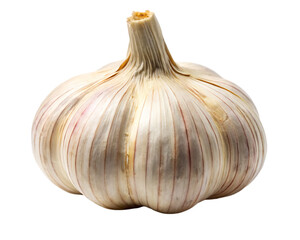 Whole Garlic Bulb with Visible Stalk and Purple Streaks on White Background food isolated on a transparent background