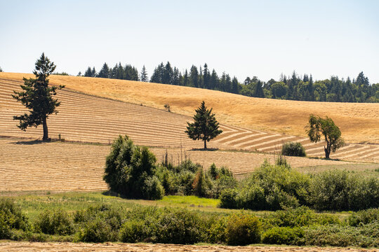 Farms in Oregon, Farmland in Oregon, Hay farm in Oregon