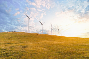 Obraz premium Wind turbines on golden grassy autumn hill at sunset with dramatic cloudy sky, symbol of renewable energy and sustainable power generation, with a grazing cow in the field