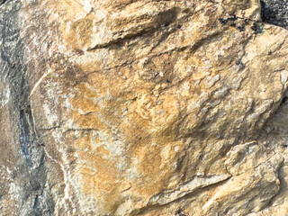 Close-up of weathered rock surface with textured patterns