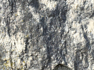 Detailed texture of weathered gray rock surface with natural patterns