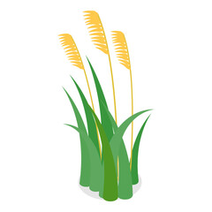 3D Isometric Flat  Set of Lake Aquatic Plants. Item 8