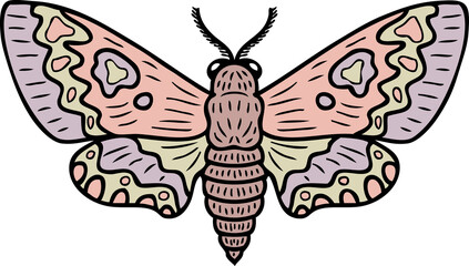 Hand drawn realistic hawk moth butterfly doodle illustration. Perfect for banner, poster, logo, sticker, label, sale. 