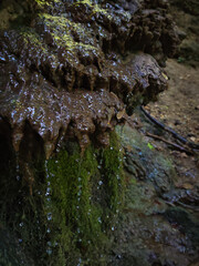 Close-up of a travertine deposit with moss and dripping water at the Sebesvíz stream in the Bükk Mountains, Hungary. The limestone formations are shaped by mineral-rich spring water.