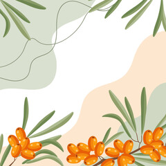 Sea buckthorn berries background. Composition of sea buckthorn berries with organic shapes and leaves on an abstract background. Card, banner, poster.