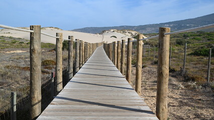 Fototapeta premium the way to the beach
