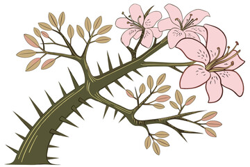 Obraz premium Vector illustration of a silk floss tree with delicate pink blooms and a spiky trunk