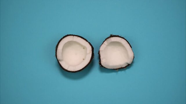Ripe tropical coconut split in two halves rotate on a blue background. Two halves of a coconut. Stop motion
