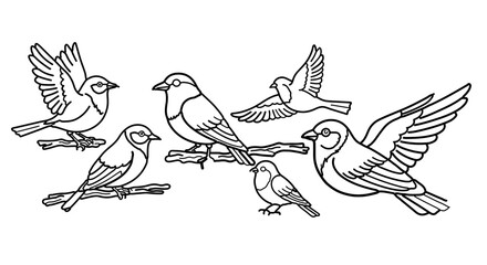 Flock of birds, symbolizing nature, freedom, and wildlife conservation
