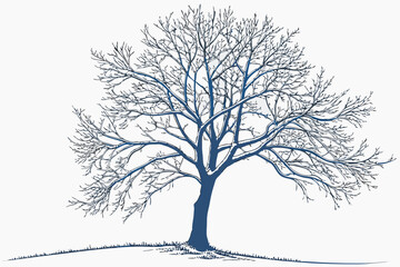 Bare winter tree with frosty branches vector illustration scalable svg for nature art
