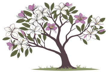 Obraz premium Realistic bauhinia tree with orchid-like blossoms vector illustration