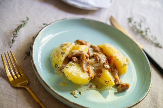 Boiled potatoes with chanterelle mushrooms in sour cream sauce	