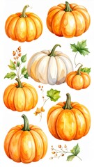 Watercolor Orange and White Pumpkins with Green Leaves and Stems on White Background
