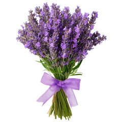 Fototapeta premium A bouquet of fresh lavender flowers tied with a purple ribbon, isolated on a transparent background. background removed