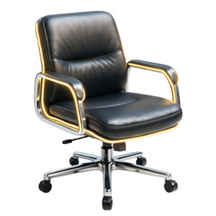 Elegant Black Office Chair