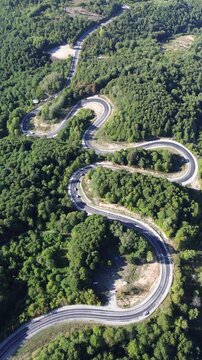 Aerial view of winding asphalt mountain road among green trees in summer. (Domani&ccedil;,İneg&ouml;l dağ yolu)