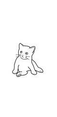 cat stared illustration meme
