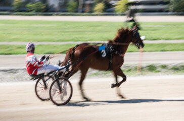 horse riding on a horse race with high speed and intentional movement